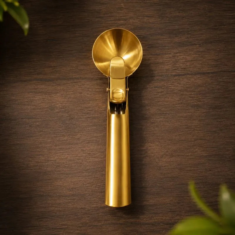 Golden Stainless Steel Ice Cream Scoop – Dual-Purpose Scoop & Digging Spoon for Desserts