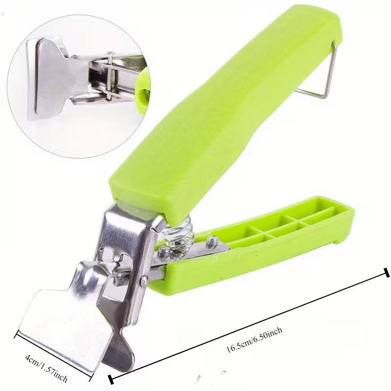 Stainless Steel Bowl & Plate Clip Holder